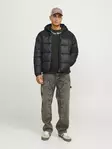 Jack&Jones Herren Winterjacke Moon Puffer schwarz - Herrenjacken - 137390 - 2