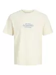Jack&Jones T-Shirt Cassis - Herren T-Shirts - 140960 - 1