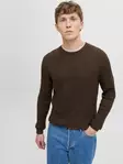  - Herren Strickwaren - 141551 - 1