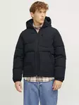 Jack&Jones Männer Winterjacke Puffer dunkelmarine - Herrenjacken - 137451 - 2