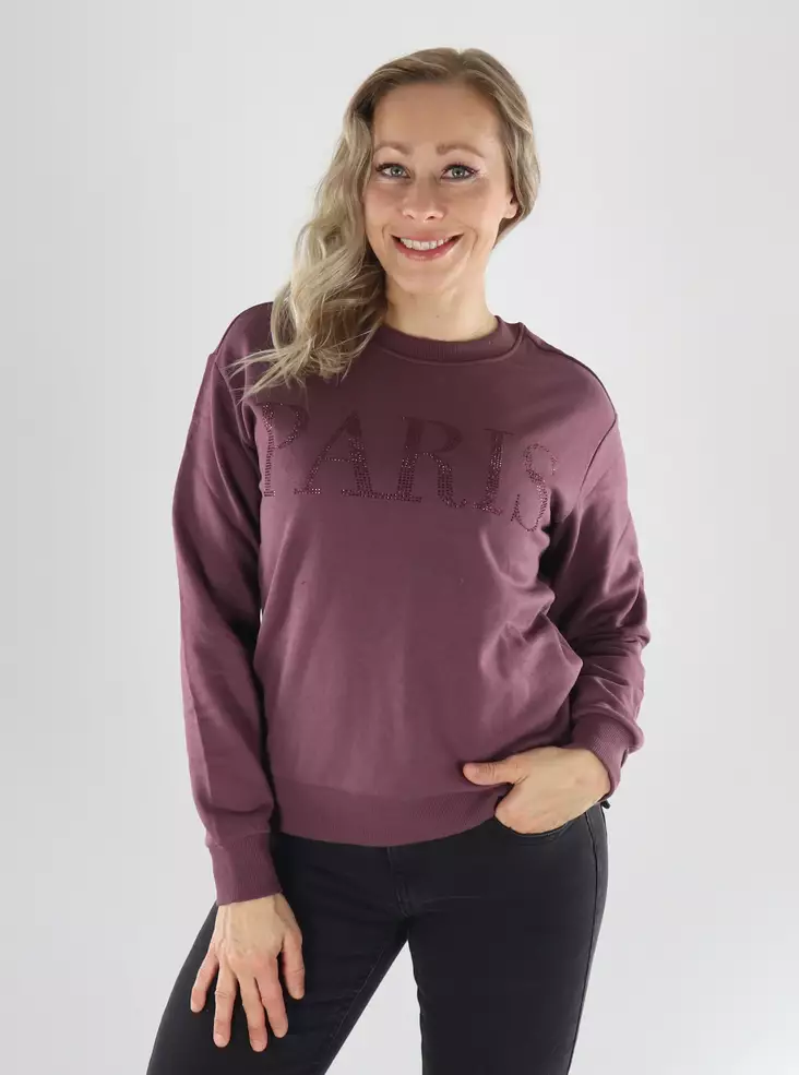 JDY Sweatshirt JDYPARIS L/S EMB SWEAT huckleberry/glitzer - Damen Hoodies und Sweatshirts - 141572 - 1