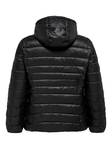 Only Carmakoma Leichte Steppjacke Tahoe schwarz - Damen Leichte steppjacken - 134024 - 7