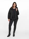 Only Carmakoma Leichte Steppjacke Tahoe schwarz - Damen Leichte steppjacken - 134024 - 5