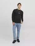Jack&Jones Vesterbro Herren Sweatshirt schwarz - Herren Langarmshirts - 135115 - 3