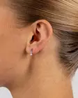 - Ohrringe - 141608 - 2